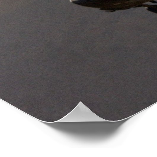 Poster Apache AH-64 (Coin)