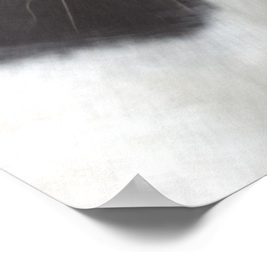 Poster Apache Gypsy Vanner Cob (Coin)