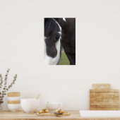 Poster Apache Gypsy Vanner Cob (Cuisine)