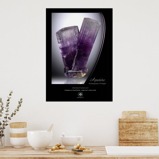 POSTER APATITE (Cuisine)