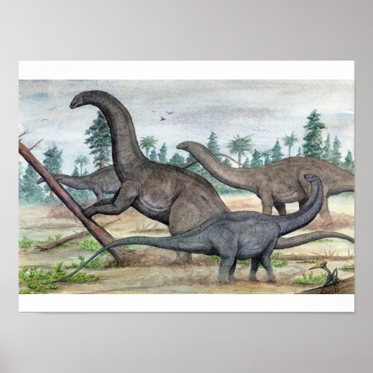 Poster Apatosaure et Brontosaurus Imprimer (Devant)