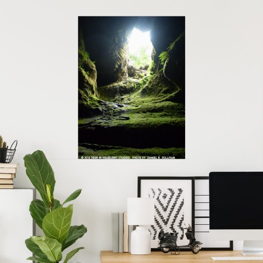 Poster Ape Caves (Bureau à domicile)