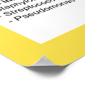 Poster Aperçu des infections bactériennes (Coin)