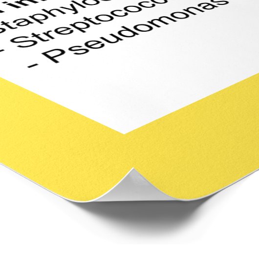 Poster Aperçu des infections bactériennes (Coin)