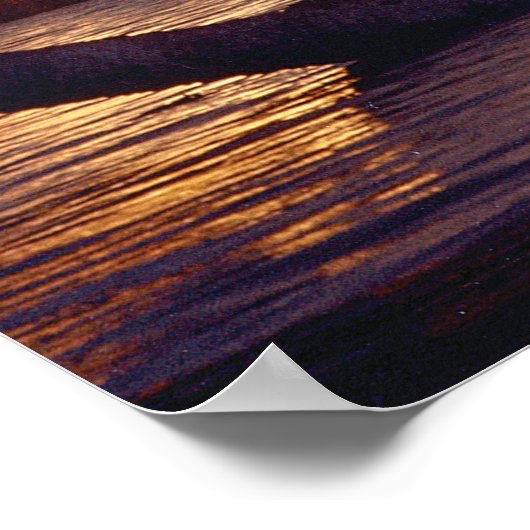 Poster Apollo 14 (Coin)