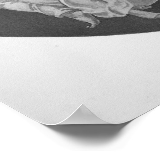 Poster Apollo Et Les Muses (Coin)