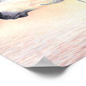 Poster Appaloosa (Coin)