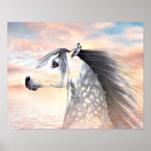 Poster Appaloosa