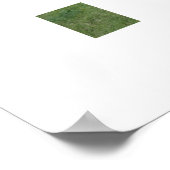 Poster Appaloosa Horse (Coin)