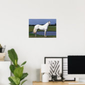 Poster Appaloosa Horse (Bureau à domicile)