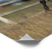 Poster Appaloosa Horse Running 3 (Coin)