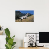 Poster Appaloosa Horse Running up Mountain (Bureau à domicile)