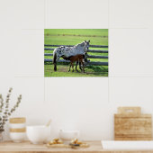 Poster Appaloosa Mare et Cheval de Colt (Cuisine)