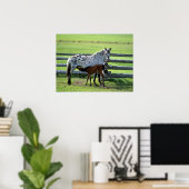 Poster Appaloosa Mare et Cheval de Colt (Bureau à domicile)