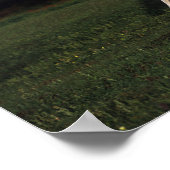 Poster Appaloosa Mare et Foie en champ (Coin)