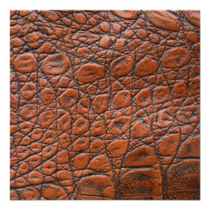 Poster apparence fausse en cuir de crocodile