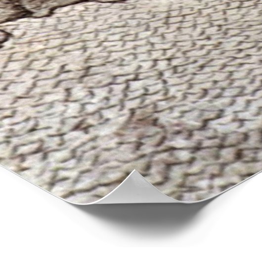 Poster Appartements forestiers à Chii-ch'u par Wang Meng (Coin)