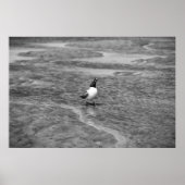 Poster Appel (Devant)