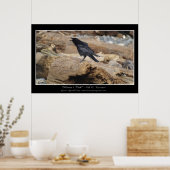 Poster "APPEL DE RAVEN" Photo (Cuisine)