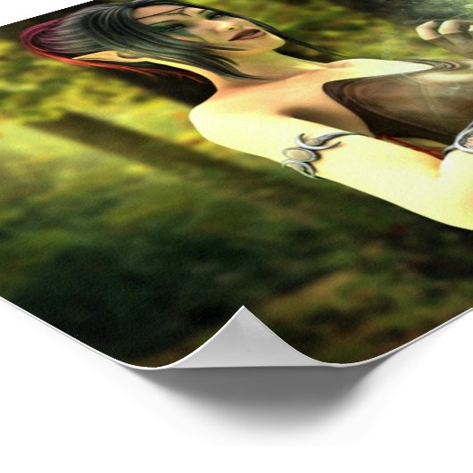 Poster Appel du Far (Coin)