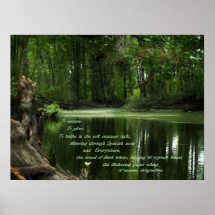Poster Appel du Photo postser Sud