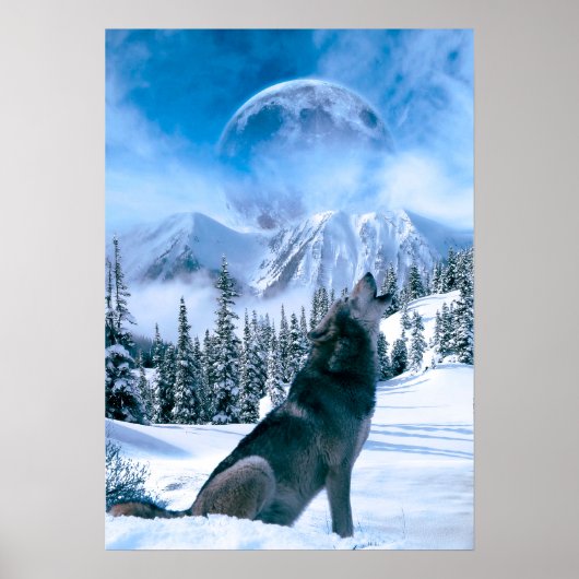 Poster Appel Wolf (Devant)
