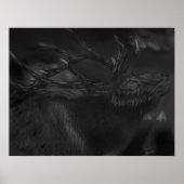 Poster appeler dans la nuit (Devant)