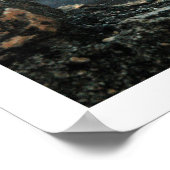 Poster appeler la terre à témoigner (Coin)