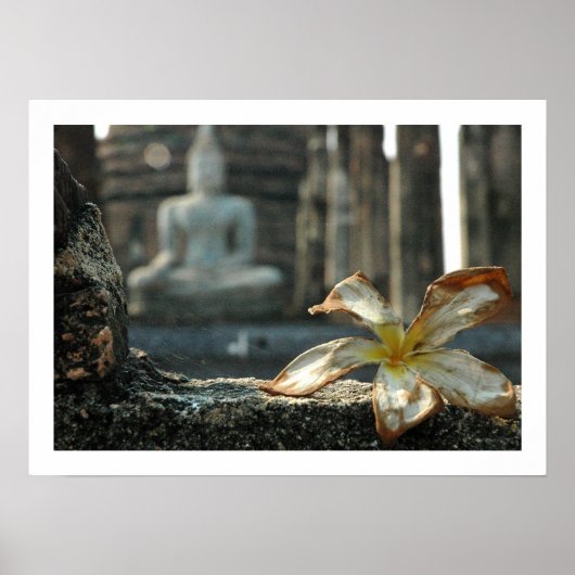 Poster appeler la terre à témoigner (Devant)