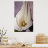 Poster Appels (Cuisine)