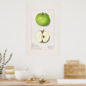 Poster Apple (Cuisine)