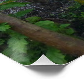 POSTER APPLE BANANA TREBES GRANDE ÎLE HAWAII (Coin)