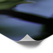 Poster Apple Bloom (Coin)