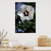 Poster Apple Bloom (Cuisine)