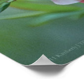 Poster Apple Blossom #P0356 (Coin)