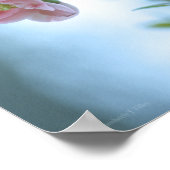 Poster Apple Blossom #P0365 (Coin)