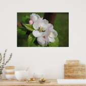 Poster Apple Blossom Print 2 (Cuisine)