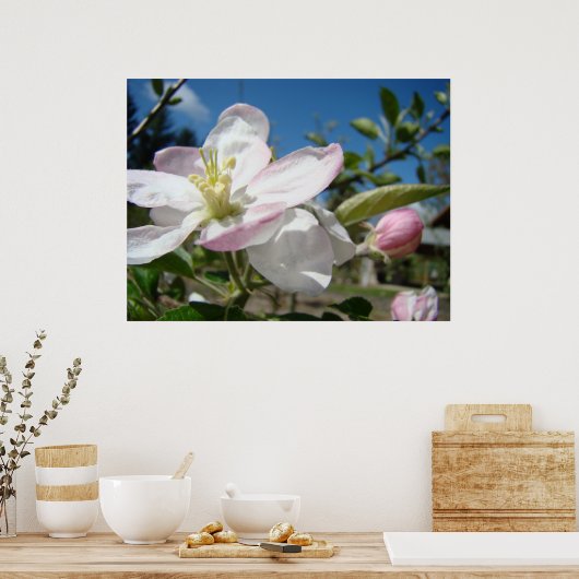 Poster APPLE BLOSSOMS Fleurs Imprimantes d'art encadrées (Cuisine)