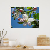 Poster APPLE BLOSSOMS PRINTEMPS Fleurs Imprimantes d'art  (Cuisine)
