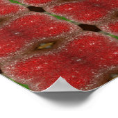 Poster Apple Frost (Coin)