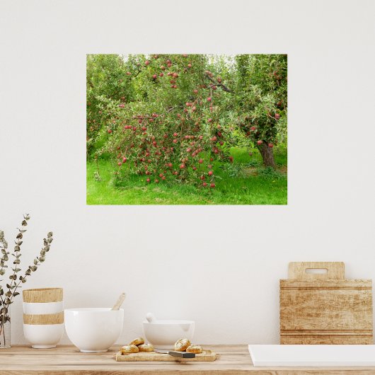 Poster Apple Orchard (Cuisine)