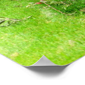 Poster Apple Orchard (Coin)