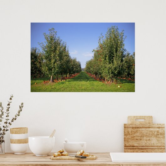 Poster Apple Orchard (Cuisine)