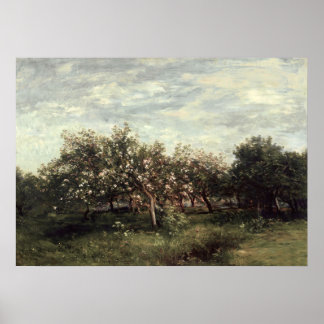 Poster Apple Orchard Paysage Art Imprimer Vert foncé