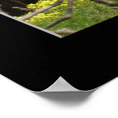 Poster "Apple Orchard - Watsonville" (Coin)