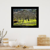 Poster "Apple Orchard - Watsonville" (Cuisine)