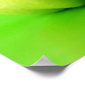 Poster Apple & Pear (Coin)