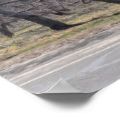 Poster Apple Trees In A Row Oil Photo Painting (Coin)