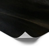 Poster Appoloosa (Coin)