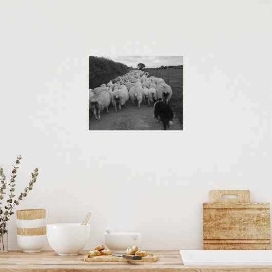 Poster Apporter le mouton (Cuisine)